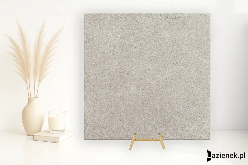 Przejdź do produktu Lea Nextone Gray naturalna 60x60 cm gr. 9 mm - płytka rektyfikowana / LGWNX10