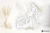 c2bc95cd82a8737cb18b98f171cee17b