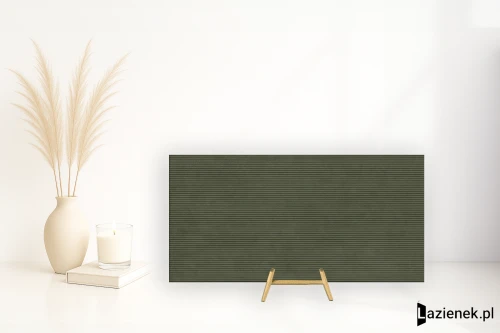 Przejdź do produktu Lea Segni Su Pigmenti Moss = naturalna 50x100 cm gr. 4 mm - płytka rektyfikowana / LSBSG07
