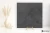 592b70a5c2e567d61b9c8ec1bf6f322d