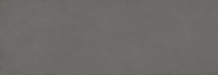 Lea Pigmenti Basalt naturalna 100x300 - płytka imitująca beton