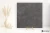 0ceab8d7d84107a121f597484c69ad40