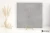 21ad66438a659e6f95504ecbccef24f8