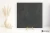 47ba7db096641329e4832450569f22a2
