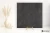 8f6254441a99d1605d61c189704759d6