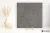808ce01fb7765dacf1a19b8508ecf043