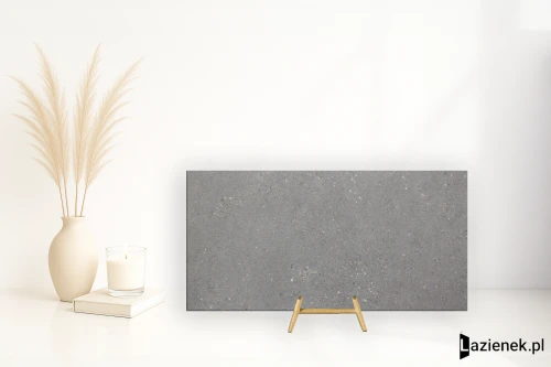 Przejdź do produktu Sintesi Frammenti Grigio techniczna R10 60x119.8 cm gr. 9 mm - płytka rektyfikowana / PF00017667