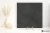 38ec37922087f67f5636959e02dfd1d8