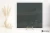 4ed8a802f6c101e327fb1c283b22c2e1