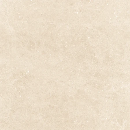 4b9537d2b5eb0b015ece57521302e9e8