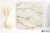 Blustyle Starlight 09 Versilia Gold błyszcząca 120x120 - płytka imitująca marmur