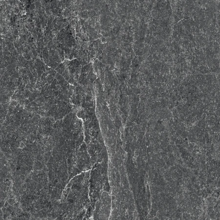d081990748d17f8b2cbd4b332273b5dc