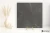 a0c356c5570fe65317d9d72471173be1