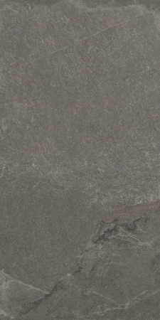 81391238d5c23169d0fe5e820e27e558