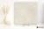 e9e297e63836a590b5b9440b91434552