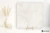 fc3966ec3a79de6bec21b5ffa056e740