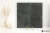 802e1b977484d728729aece7abcb7638