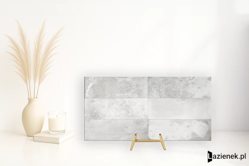Przejdź do produktu Peronda Fs Raku Silver matowa 20x40 cm gr. 10 mm - płytka rektyfikowana / 28943