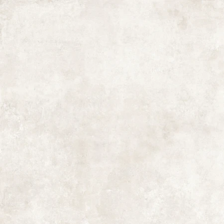 ca56770d6b5c7659dc9cb9527c3a5502