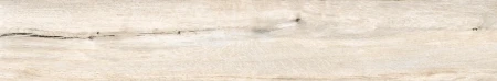 305bc4c9e1ce6fad9343f1ed561ccdc3
