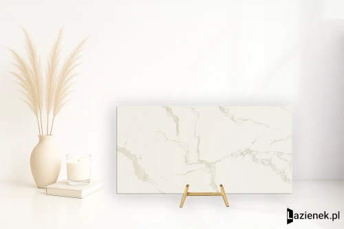 Przejdź do produktu Saime 160X320 Forte B naturalna 160x320 cm gr. 12 mm - płytka nierektyfikowana / T616667