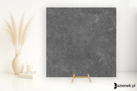 0753b0f04feed48470d83266eba7d361