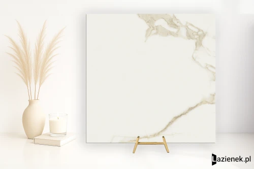 Przejdź do produktu Saime Cave Forte błyszcząca 60x60 cm gr. 9 mm - płytka rektyfikowana / 8600079