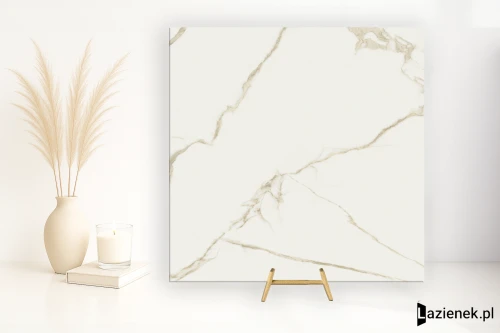 Przejdź do produktu Saime Cave Forte naturalna 120x120 cm gr. 6 mm - płytka rektyfikowana / T860215