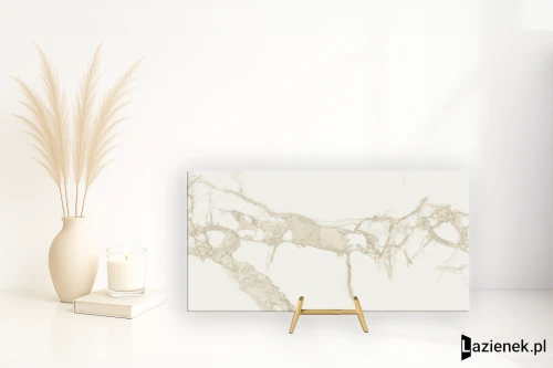 Przejdź do produktu Saime Cave Forte naturalna 60x120 cm gr. 6 mm - płytka rektyfikowana / T810335