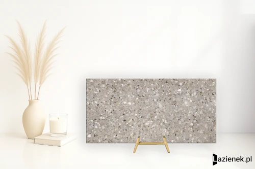 Przejdź do produktu Saime Frammenta Taupe skalna R11 30x60 cm gr. 9 mm - płytka nierektyfikowana / 7694744