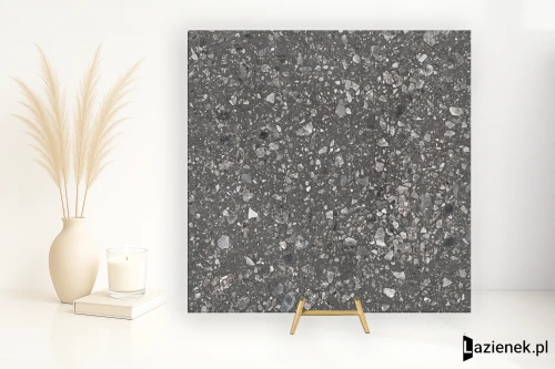 Przejdź do produktu Saime Grestone Dark naturalna 120x120 cm gr. 6 mm - płytka rektyfikowana / T680020