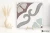 7e24caeec56a178ad847348a4b8c0c50
