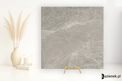 Przejdź do produktu Cotto D'este Advantage Skin Silver naturalna 100x100 cm gr. 4 mm - płytka rektyfikowana / EK8AD30