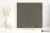 79f466cd6463d71bf74efed2516e3050