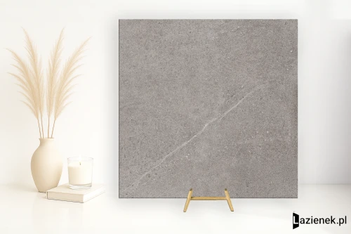 Przejdź do produktu Cotto D'este Limestone Oyster płomieniowana 60x60 cm gr. 14 mm - płytka rektyfikowana / EGWLS25