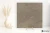 8684da16572feff6c618507f03c31bd2