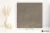 e9da023951cac5fa38ef7c7222c70dd0