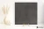 aad01388b7bc011d9b195460804c928f
