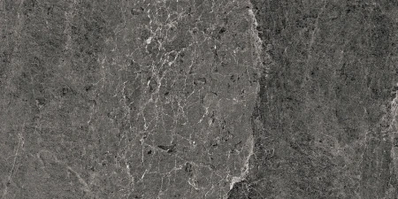 ebd63381994206c5d2e19a108248b2b5