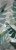 d4fe460595376408f78a36431db1b354