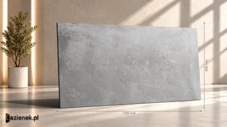 Ragno Clayton Iron C2 60x120 - płytka imitująca kamień