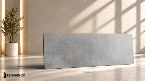 Przejdź do produktu Ragno Clayton Iron matowa 33x100 cm gr. 10 mm - płytka rektyfikowana / RAE9