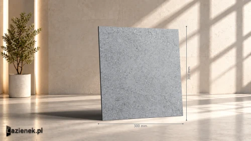 Przejdź do produktu Ragno Kalkstone Grey matowa 30x30 cm gr. 9,5 mm - płytka rektyfikowana / RAJ5
