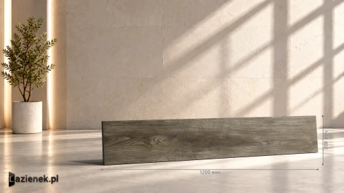 Przejdź do produktu Ragno Inedito Cenere matowa 20x120 cm gr. 10 mm - płytka rektyfikowana / RADZ