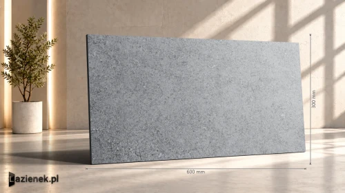 Przejdź do produktu Ragno Kalkstone Grey strukturalna 30x60 cm gr. 9,5 mm - płytka rektyfikowana / RAJU