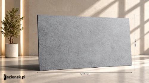 Przejdź do produktu Ragno Kalkstone Grey strukturalna 60x120 cm gr. 9,5 mm - płytka rektyfikowana / RAJD