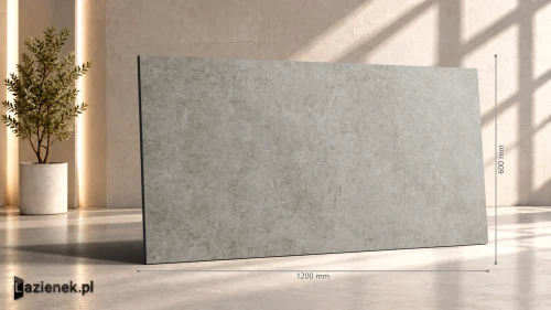 Przejdź do produktu Ragno Realstone_Argent Ghiaccio matowa 60x120 cm gr. 10 mm - płytka rektyfikowana / R9HD