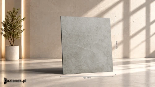 Przejdź do produktu Ragno Realstone_Argent Ghiaccio matowa 75x75 cm gr. 10 mm - płytka rektyfikowana / R9JL