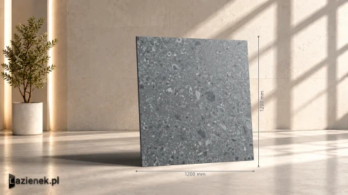 Przejdź do produktu Ragno Realstone_Ceppo Antracite strukturalna 120x120 cm gr. 9 mm - płytka rektyfikowana / RCWR
