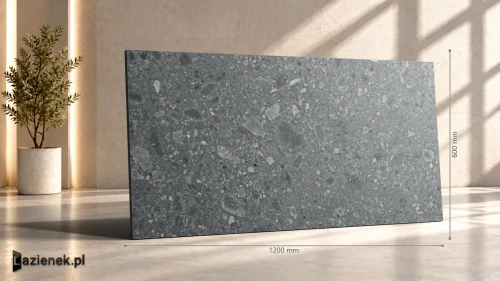Przejdź do produktu Ragno Realstone_Ceppo Antracite strukturalna 60x120 cm gr. 20 mm - płytka rektyfikowana / RCYR